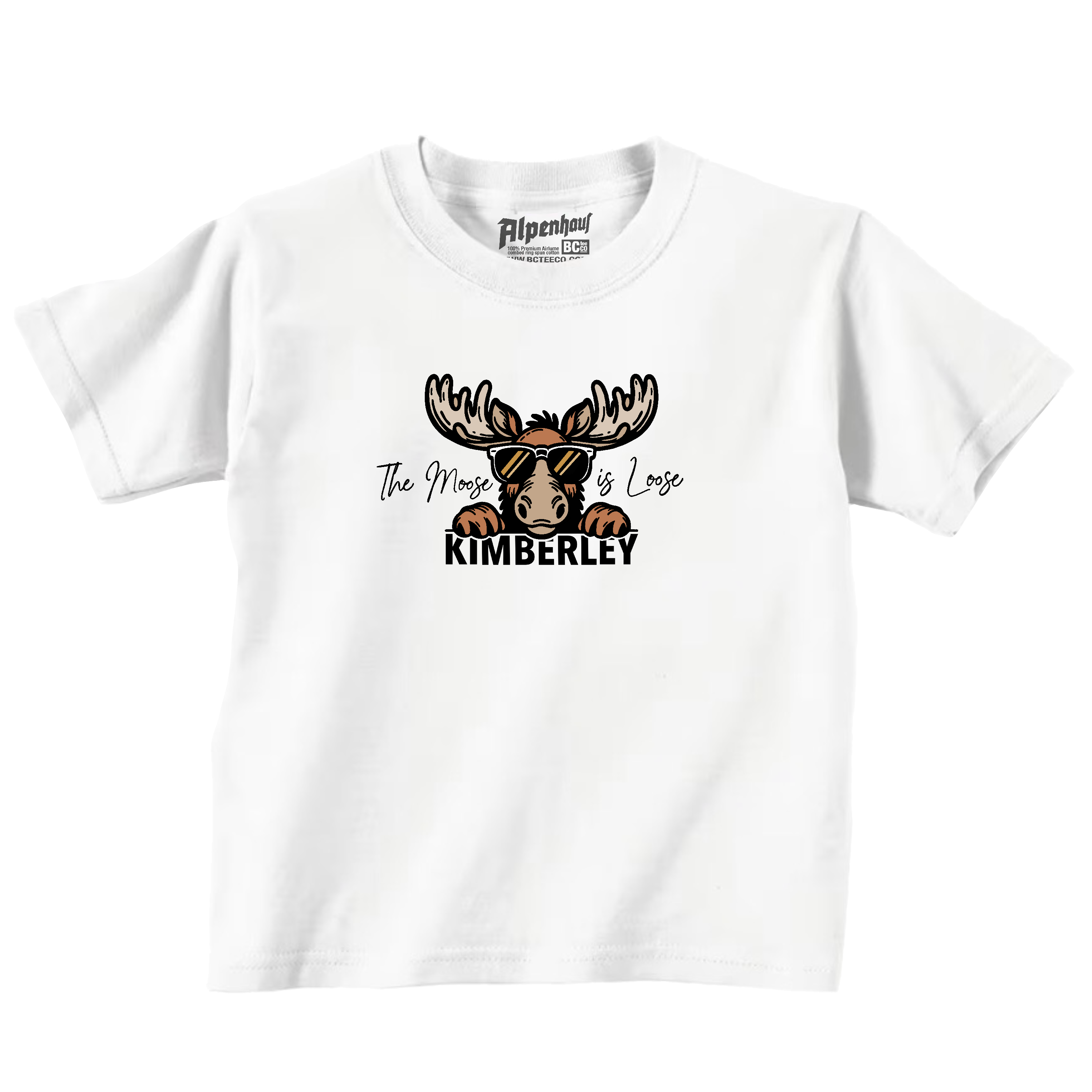 The Moose is Loose (toddler)