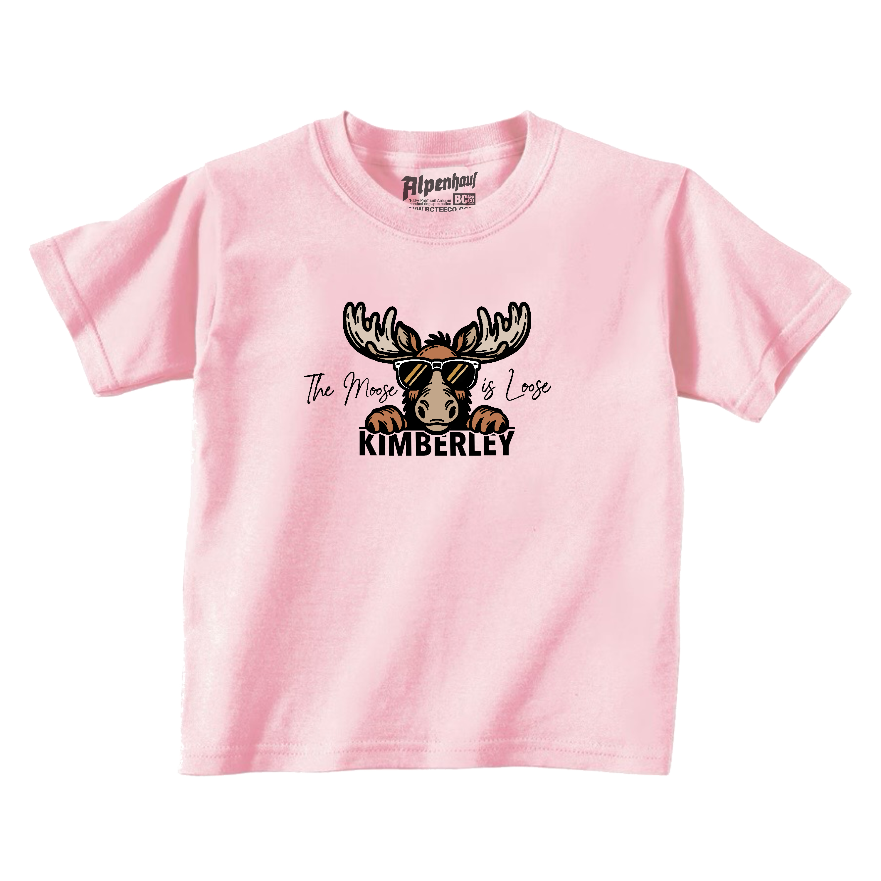 The Moose is Loose (toddler)